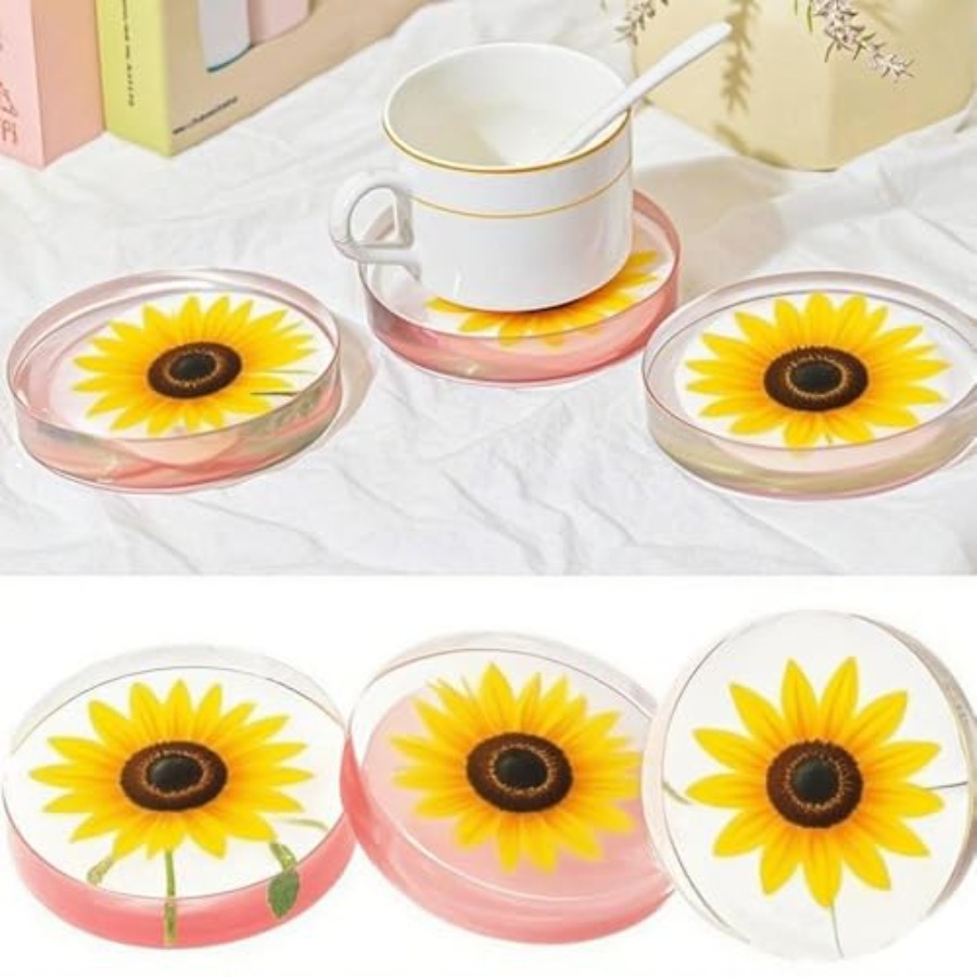 6-fach tiefe runde Untersetzer – Coaster Mold Round Bewertung und Preis
